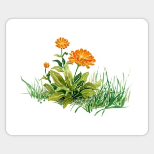 August 24th birthday flower Sticker